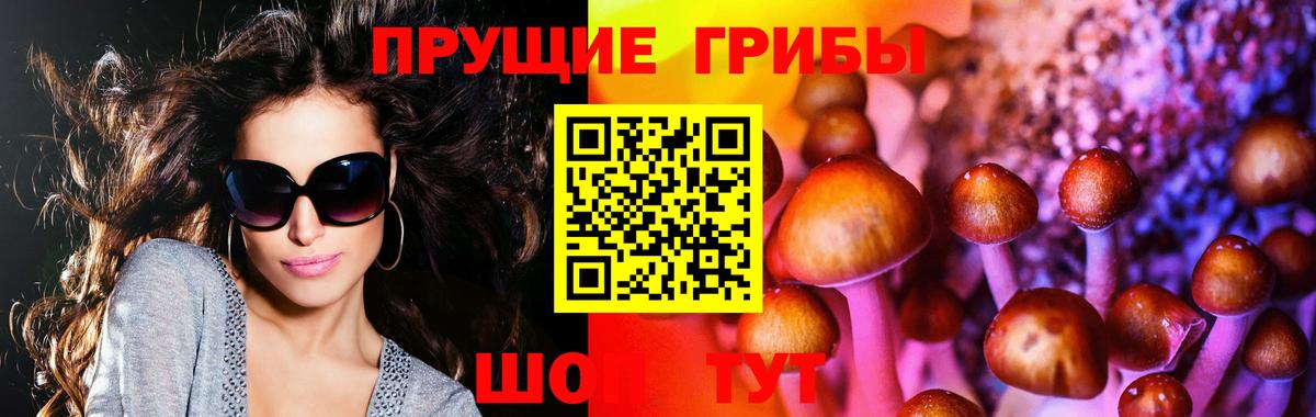 Галлюциногенные грибы Psilocybine cubensis  Вход с VPN  Партизанск 